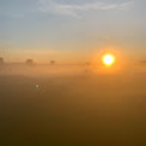 Meet your Posher, Kristin - Picture 1 of 1